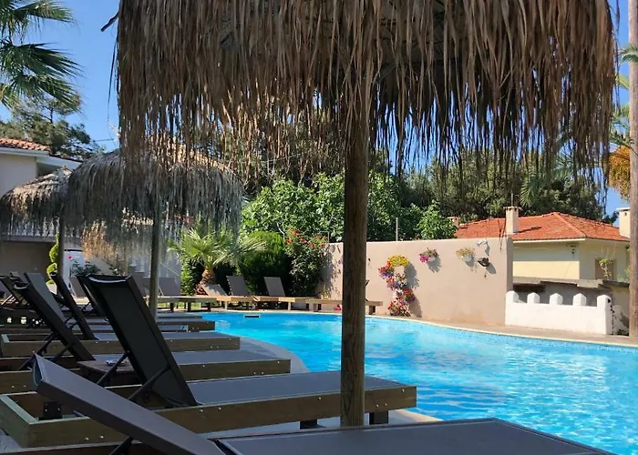 Hotel Hotel Potos 3*