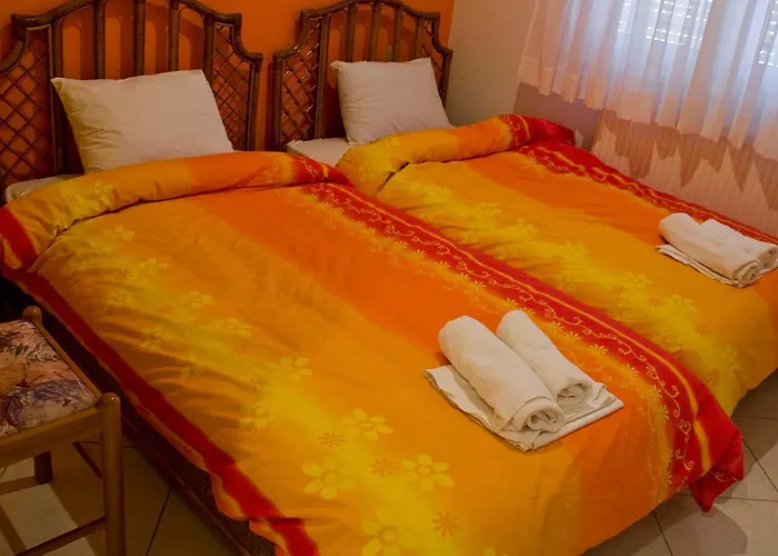 Hotel Hotel Potos Potos